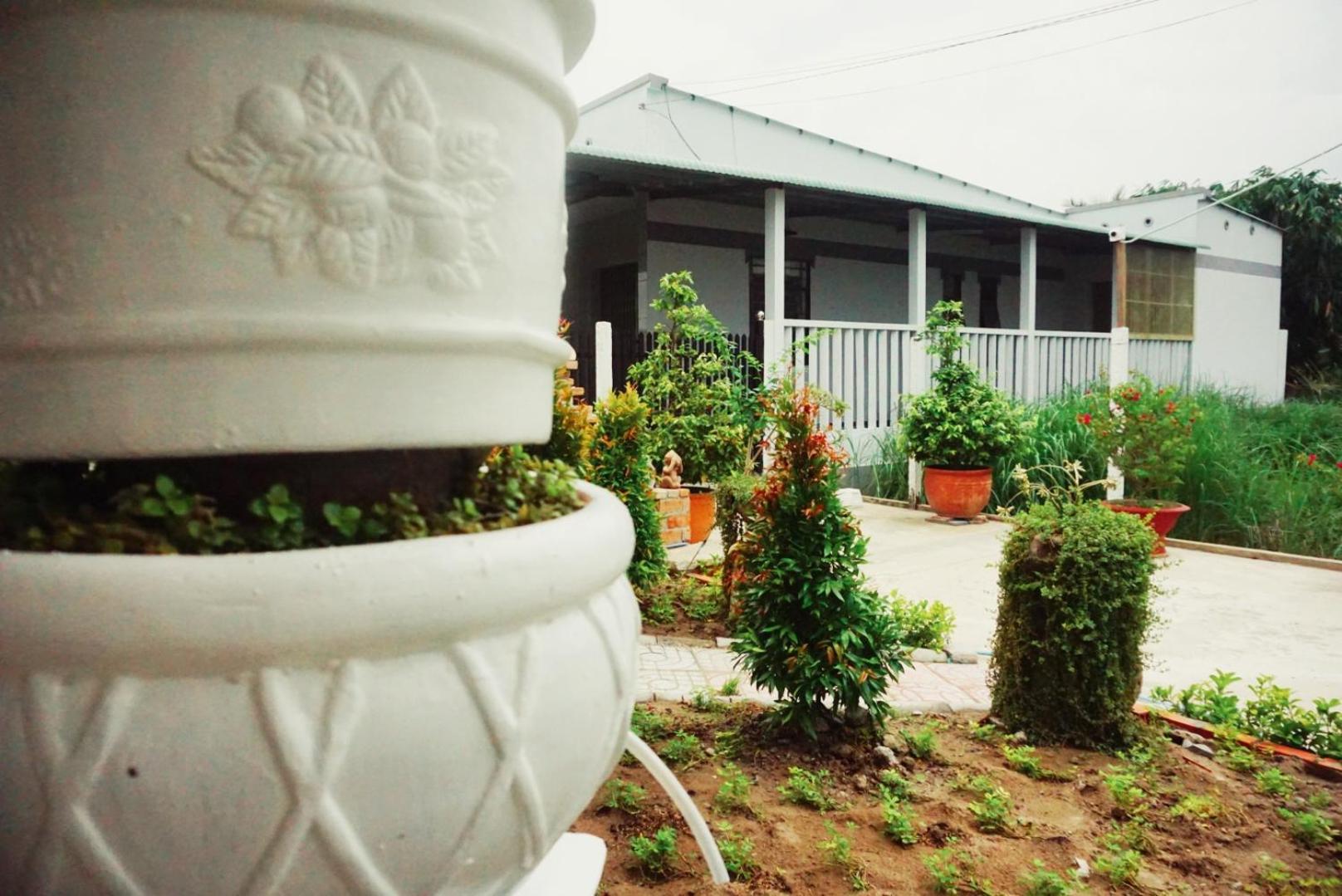 Mekong Pottery Homestay, Green-Friendly & Boat Tour Vinh Long Bilik gambar